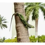 Qué no alimentar a tu iguana: consejos para una dieta saludable